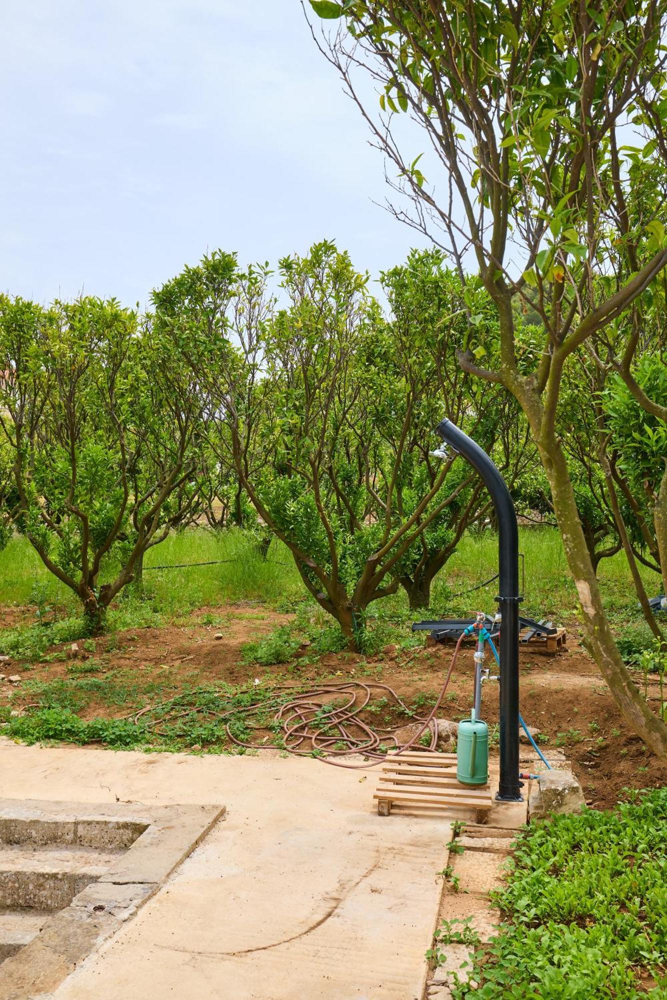 Appartamento Beloc House Lopud Island Esterno foto