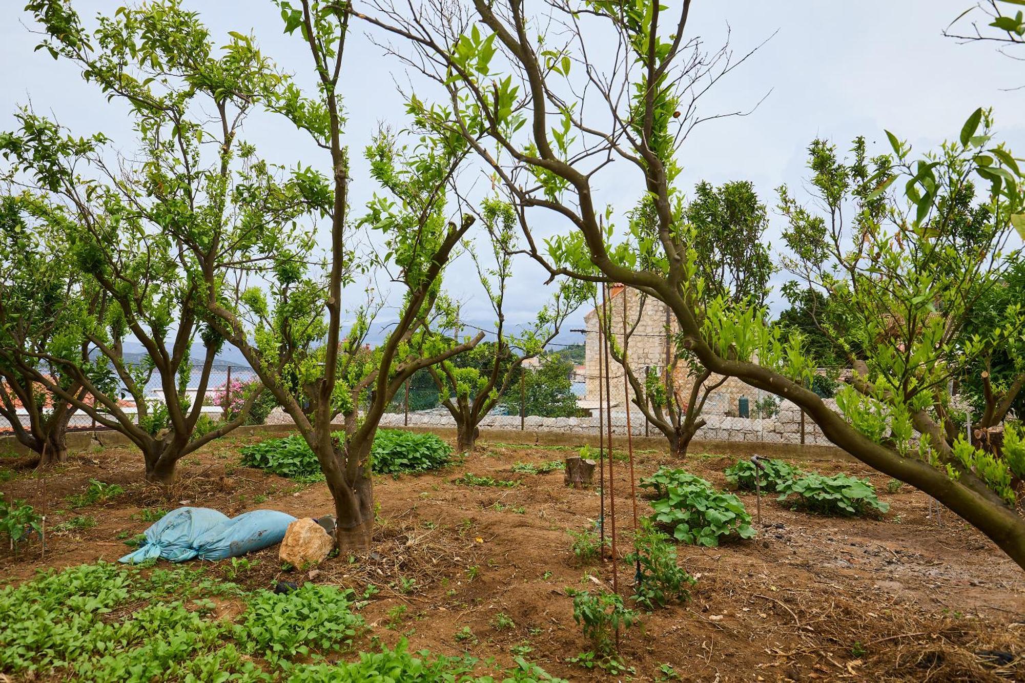 Appartamento Beloc House Lopud Island Esterno foto